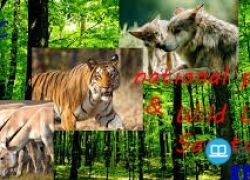 school-chalao-national-image-parks-image-in-image-india-image-and-image-wild-image-life-image-sanctuaries.jpg