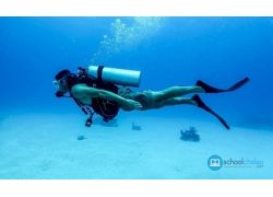 school-chalao-a-brief-history-of-diving.jpg