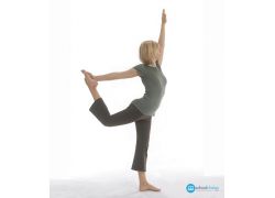 school-chalao-ardha-baddha-nantum-natarajasana-lord-of-the-dance-pose42.jpg