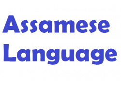 school-chalao-assamese-language.jpg