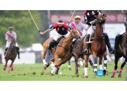 school-chalao-championship-of-polo.jpg