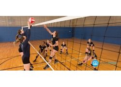 school-chalao-common-terms-of-volleyball.jpg