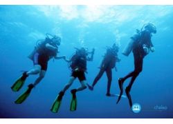 school-chalao-dive-groups-of-diving.jpg
