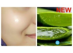 school-chalao-how-to-get-clear-glowing-spotless-skin-by-using-aloe-vera-gel.jpg