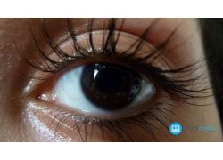 school-chalao-how-to-grow-long-thick-healthy-lashes.jpg