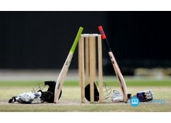 school-chalao-how-to-play-cricket.jpg