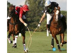 school-chalao-how-to-play-polo.jpg