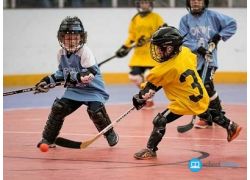 school-chalao-how-to-play-roller-hockey.jpg