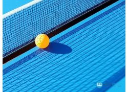 school-chalao-how-to-play-table-tennis.jpg