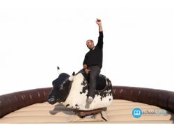 school-chalao-how-to-ride-on-mechanical-bull-tips.png