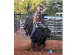 school-chalao-introduction-of-bull-riding.jpg