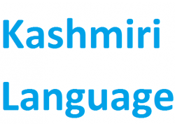 school-chalao-kashmiri-language.jpg