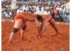 school-chalao-kushti.jpg