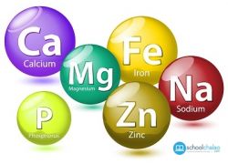 school-chalao-minerals.jpg