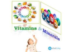 school-chalao-ntroduction-image-of-image-vitamins-image-and-image-minerals.jpg
