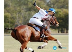 school-chalao-overview-of-polo.jpg