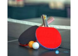 school-chalao-overview-of-table-tennis.jpg