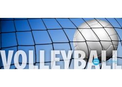 school-chalao-overview-of-volleyball.jpg