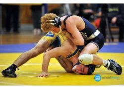 school-chalao-overview-of-wrestling.jpg