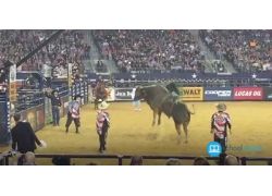 school-chalao-playing-environment-of-bull-riding.jpg