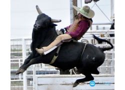 school-chalao-rules-and-regulations-of-bull-riding.jpg