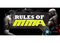 school-chalao-rules-of-mixed-martial-arts.jpg