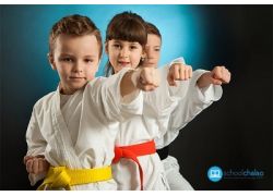 school-chalao-scoring-in-judo.jpg