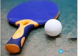 school-chalao-table-tennis-champion-of-champions.jpg