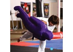 school-chalao-training-of-judo.jpg