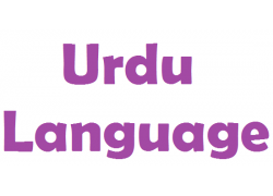 school-chalao-urdu-language.jpg
