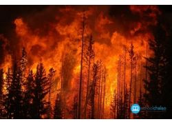 school-chalao-uttarakhand-forest-fire-2016.jpg